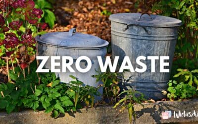 Zero waste – co to jest