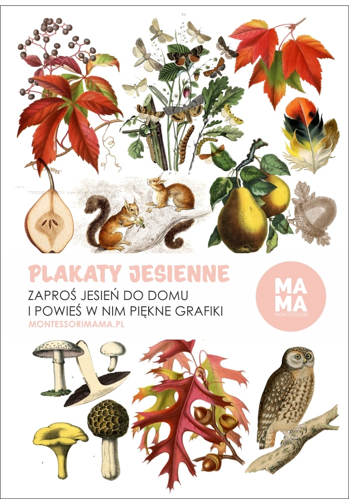 jesienne obrazki Piękne grafiki do powieszenia w domu. Kształtują poczucie estetyki. Grafiki vintage. Plik zawiera: <ul> <li>17 stron z grafikami</li> </ul> Po zakupie otrzymasz link do pliku w formacie PDF, do samodzielnego druku.